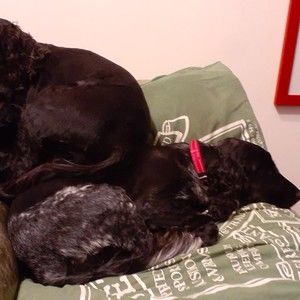 Meet your Posher, Pamela